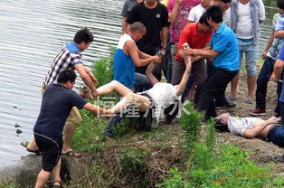 无锡市水下打捞公司 尸体打捞 水鬼打捞队